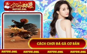Cách Chơi Đá Gà Cơ Bản