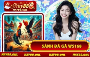 Sảnh Đá Gà WS168